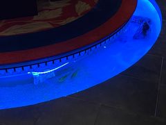 -醉西楼·国风茶社