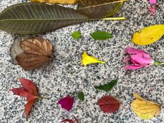 -南国桃园旅游度假区