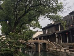 -同里国家湿地公园