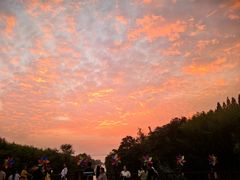 -黄海国家森林公园