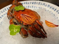 -荷风细雨·中国茶宴(碧云店)