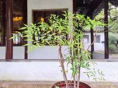 -西园寺