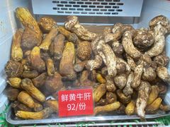 -太婆天府山珍酒楼(亚运村店)