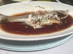 -碧丽宫大酒店(召稼楼店)