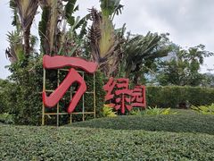 -万绿园