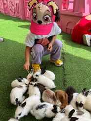 -萌宠亲子动物乐园(槐房万达店)