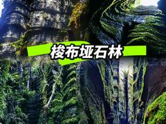 -梭布垭石林景区