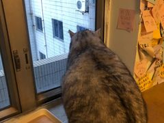 -H立方实景剧情密室(天河旗舰店)