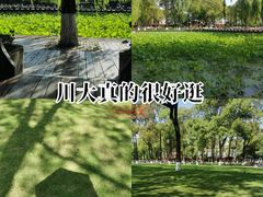 -四川大学(望江校区)
