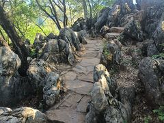 -普者黑风景区-青龙山