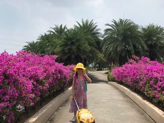 -迪茵湖田家舍生态农场