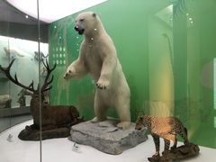 -国家自然博物馆