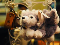 -TrueLove @ Neverland (Husky Cafe)