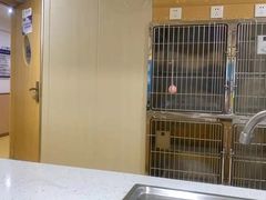 -宠颐生宠物医院·心肾内科·猫专科诊疗中心宠巢店