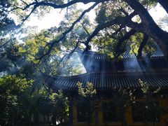 -阿育王寺