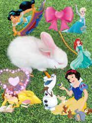 -萌宠亲子动物乐园(槐房万达店)