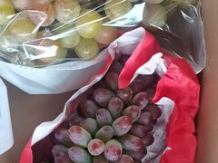 -马陆小张葡萄园农家乐