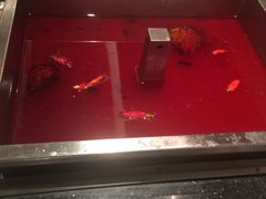 -焱三乐四川火锅店(经纬街店)