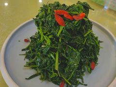 清香枸杞苗-国强手抓(北京西路店)