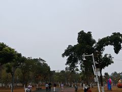 -万绿园