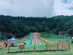 -武陵山森林公园