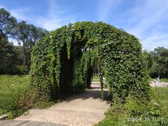 -黑龙江省森林植物园