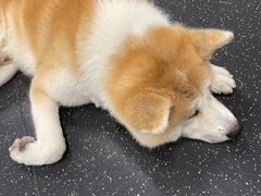 -YCHL Studios健身工作室(市二宫店)