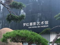 -罗红摄影艺术馆