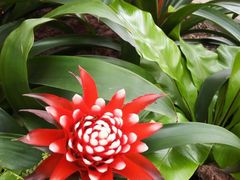 -北京植物园-展览温室