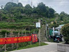 -大罗山风景区