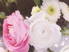 -石葵(锦业时代店)