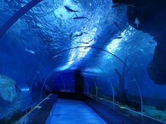 -多彩贵州城极地海洋世界