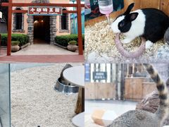 -海合安武汉极地海洋公园