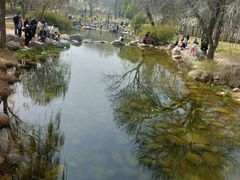 -郑州植物园