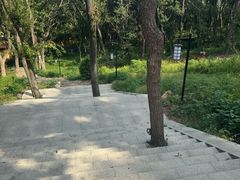 -桃花岛景观公园