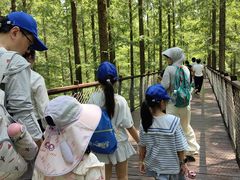 -黄海国家森林公园