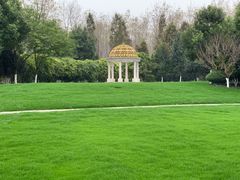 -合肥滨湖国家森林公园