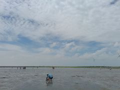 -奉贤海滩