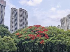 -晓港公园