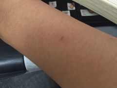 -爱侬家庭服务(望京分部)