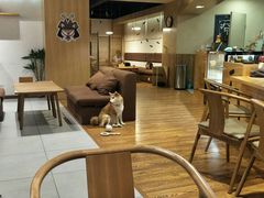 -柴务处·柴犬主题狗咖