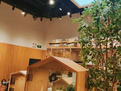 -屋虎猫馆(宝安大仟里店)
