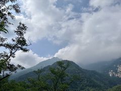 -泰山风景名胜区