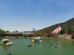 -无锡动物园·太湖欢乐园