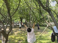 -苏州河梦清园环保主题公园