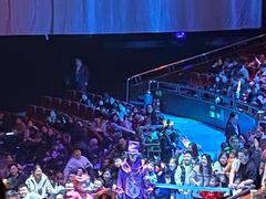 -水秀国际大剧院