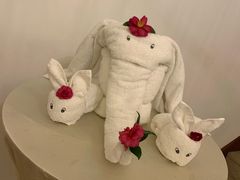 -天目湖涵田半山温泉