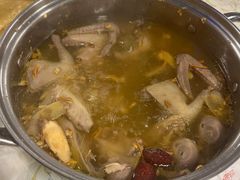 -百利鸽王(紫薇路店)