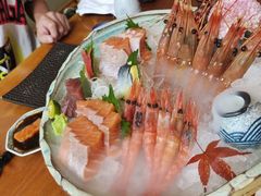 -月龍吟(朝龙汇店)