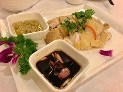 白切鸡-朱仔记食府(江南大道店)
